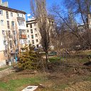 �����. ���� 03.03.2014 �. �����������, ������������, �������� �� �����. �� ������� ������- ������ ����.�