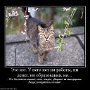 ��� �� ������� ���� ����������