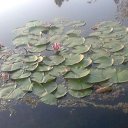 ���� ���������, �����������, 43 ���� - ��������� 7 �������� 2013 � ������ �_.-;(*,!,*);-,_�