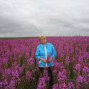 ���� �������, �������, 67 ��� - ��������� 4 ������� 2013 � ������ ���� ����������