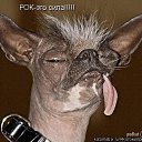 ���� �����, �����������, 60 ��� - ��������� 6 ������ 2013