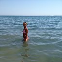 ���� �����, ��������� - ��������� 14 ������� 2013 � ������ ���� ����������