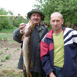 ���� �����, ��������, 48 ��� - ��������� 27 ������ 2013