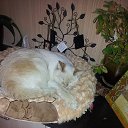 ���� ���������, ������ - ��������� 6 ������� 2013