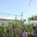 ���� �������, ������, 53 ���� - ��������� 18 ������ 2013 � ������ ���� ����������