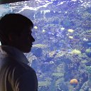 ���� �����, ����, 35 ��� - ��������� 1 ������� 2013