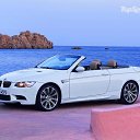 ���� ���������, ��������, 35 ��� - ��������� 28 ������ 2013 � ������ ���� ����������