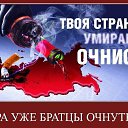 ���� ���, ������, 39 ��� - ��������� 5 ����� 2014 � ������ ������ ��������