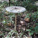 ���� �������, �����, 58 ��� - ��������� 28 ������� 2013 � ������ ������ 240813�