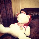 ������ 2013