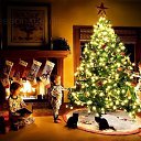 ���� ����, ������, 56 ��� - ��������� 17 ������� 2013 � ������ ������ ��������