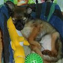 ���� �������, ������������ - ��������� 18 ������ 2014 � ������ ���������