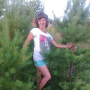 ���� �������, ����-������, 49 ��� - ��������� 8 ������� 2013 � ������ ���� ����������