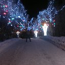 ���� �������, ��������, 38 ��� - ��������� 20 ������� 2013 � ������ ���� ����������