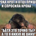 ���� ������, ����������, 36 ��� - ��������� 23 ������� 2013 � ������ �������