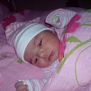 ���� �������, ������, 72 ���� - ��������� 10 ������ 2014 � ������ ���� ����������