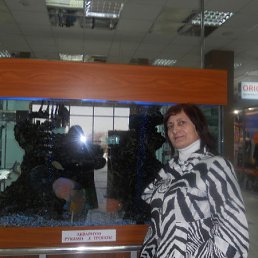 ������, �������, 71 ���