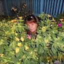 ���� �������, ������������, 42 ���� - ��������� 14 �������� 2013 � ������ ���� ����������