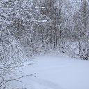  ,  , 62  -  29  2013    