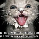 ���� ������, �������� - ��������� 27 ������ 2014 � ������ ���� ����������