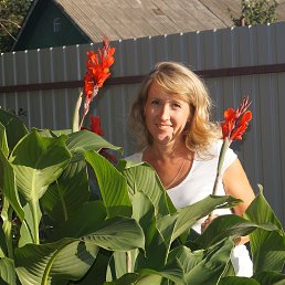 , 50, 