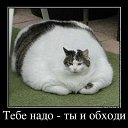 ���� �������, ������ - ��������� 29 ������� 2013 � ������ ���� ����������