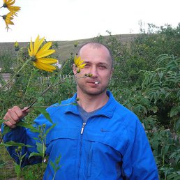 ���������, ����������, 56 ���