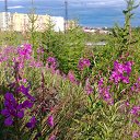 ���� �����, ��������, 41 ��� - ��������� 10 ������� 2013 � ������ ���� ����������