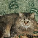 ��, ������! ������!... �� ������� ���� ���� � ������ ��������