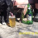 ������ ������� �� ������� ���� ����������