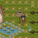   ( ),  -  14  2014   Tropikania