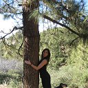 �������, ������, �������� �� ������� ���� ����������