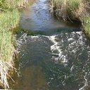 ���� ������, ����, 49 ��� - ��������� 21 ������� 2013