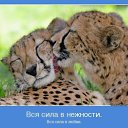���� ���������, ������ - ��������� 2 ����� 2014 � ������ ���������� ������ ����