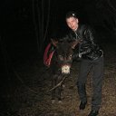 ���� �����, �����������, 33 ���� - ��������� 26 ������ 2013 � ������ ���� ����������