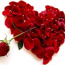 ���������� ...��������� .....=) �� ������� ������ ��������