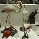 ���� ������, ������, 44 ���� - ��������� 13 ����� 2014 � ������ ���� ����������