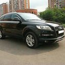 ���� ����, �����-���������, 33 ���� - ��������� 15 ������ 2013 � ������ ���� ����������