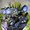 ���� �������, ��������� - ��������� 17 ������� 2013 � ������ ���� ����������
