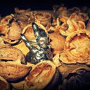 ���� Nata Li Legata, ��������� - ��������� 8 ������� 2013 � ������ ������.�