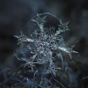 ���� ��������, ������ - ��������� 24 ������ 2013 � ������ ��������Ȼ