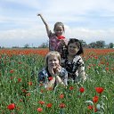 ���� �������, ��������, 71 ��� - ��������� 16 ������� 2013 � ������ ���� ����������