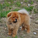 ���� ����, ����� - ��������� 23 ������� 2013 � ������ ���� ����������