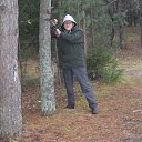  , , 44  -  15  2013   ¸ ()