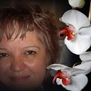 ���� �����, �����, 64 ���� - ��������� 14 �������� 2013