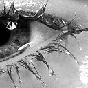 ���� �����, ������� - ��������� 18 ������ 2014 � ������ ���� ����������