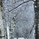 ������� ������ �� ��������� �����... �� ������� ������������� �����