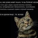 ���� � ������.