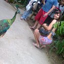  , --, 39  -  8  2013    2013