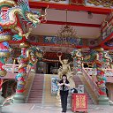  , , 59  -  2  2013   ,  2013.